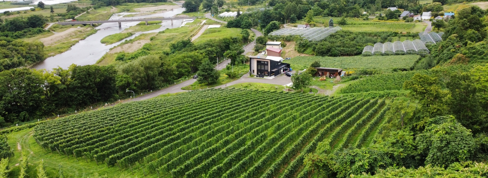 仁木町ルレーヴワイナリーの全景