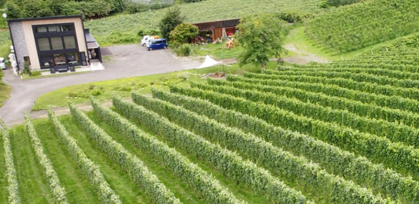 ワイン造りへの想い