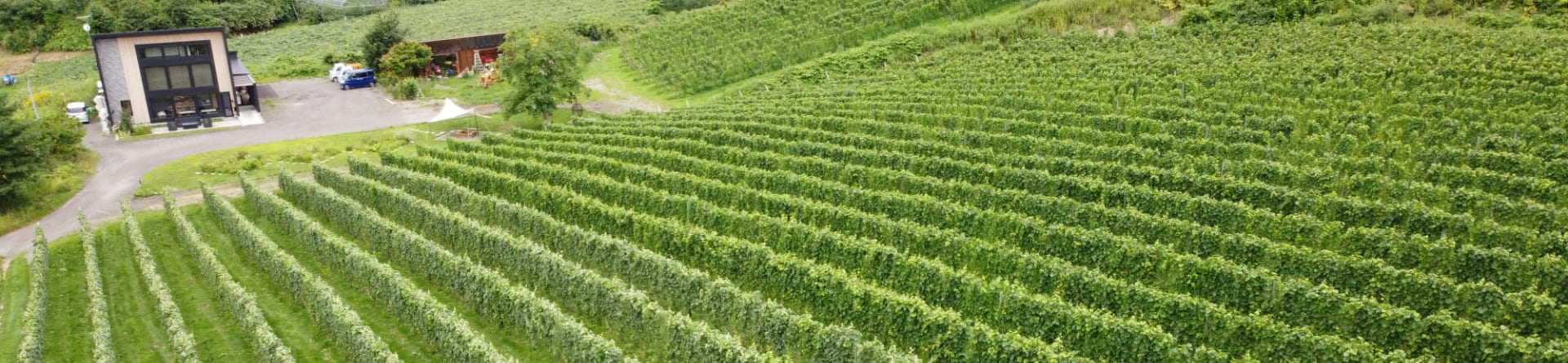 ワイン造りへの想い