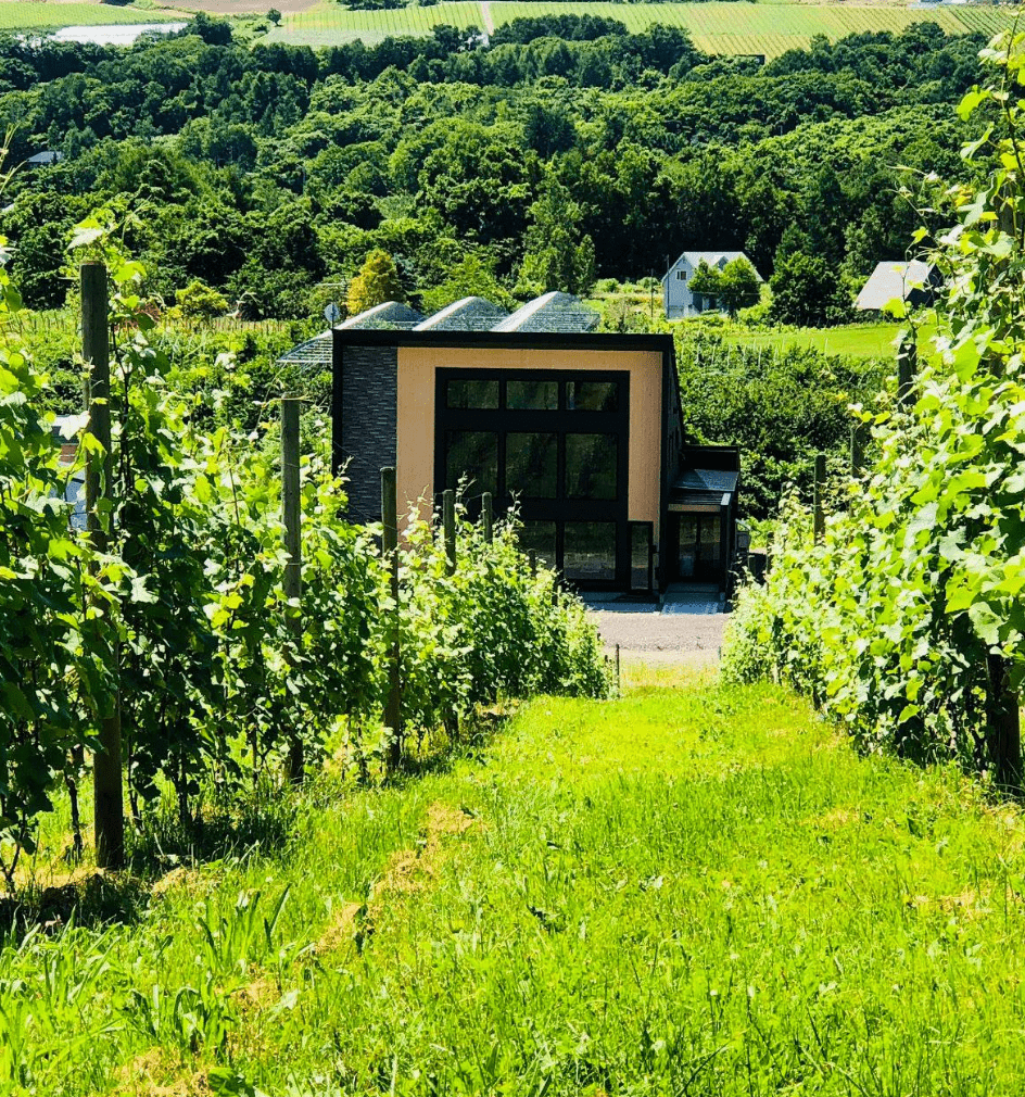 畑から見えるワイナリー