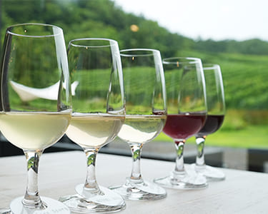 カフェから見える風景