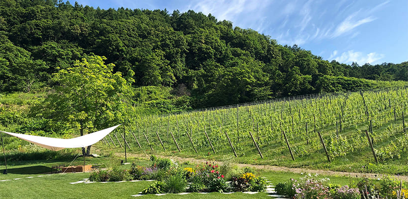 ワイナリーツアー