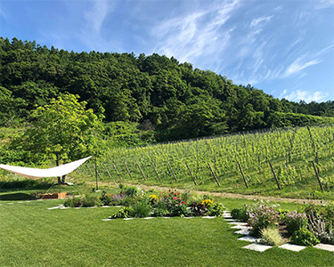 ワイナリーツアー