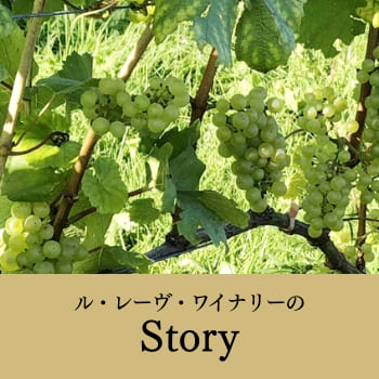ル・レーヴ・ワイナリーのストーリー